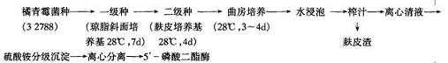 合成路线1