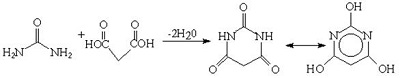 Fig.8 Synthesis of barbituric acid