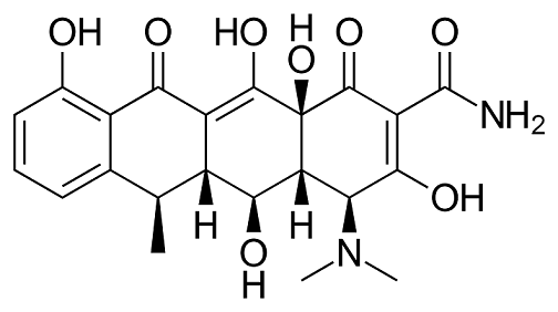 60-54-8 Mechanism of action of TetracyclineTetracycline