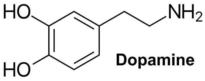 Dopamine.jpg