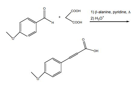 Synthesis of 4-methoxycinnamic acid