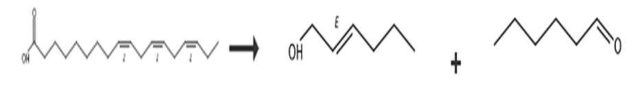 图3 反式-2-己烯醇的合成路线[4]。