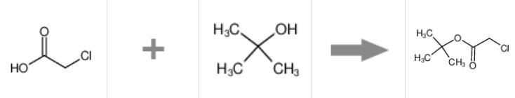 氯乙酸叔丁酯的制备及应用