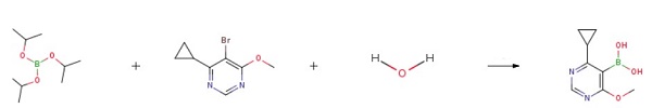 (4-cyclopropyl-6-methoxypyrimidin-5-yl)boronic acid(WX192149)