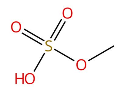 图1 硫酸单甲酯的结构