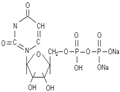 Uridine 5’-diphosphate disodium salt UDP- Na2