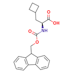 Fmoc-β-Cyclobutyl-L-Alanine pictures
