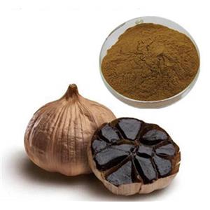 Black garlic extract