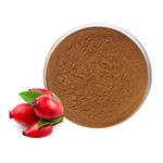 ROSE HIPS EXTRACT pictures