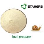 Snail protease pictures