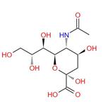 N-Acetylneuraminic acid; Sialic acid
