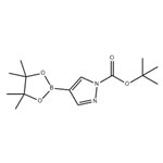 1-Boc-pyrazole-4-boronic acid pinacol ester pictures