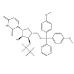 5'-O-(4,4'-DiMethoxytrityl)-3'-O-t-butyldiMethylsilyl uridine pictures
