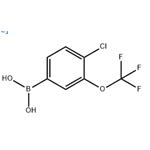 [4-chloro-3-(trifluoromethoxy)phenyl]Boronic acid pictures
