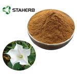 Flos?daturae extract pictures