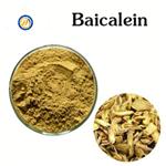 Baicalein pictures