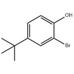 2-Bromo-4-tert-butylphenol pictures