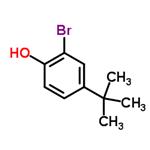 2-Bromo-4-tert-butylphenol pictures