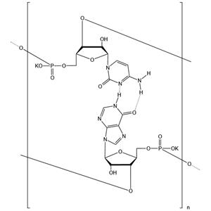 Polyinosinic-polycytidylic acid sodium salt (PIC)