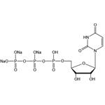 Uridine 5’-triphosphate trisodium salt（UTP-Na3）
