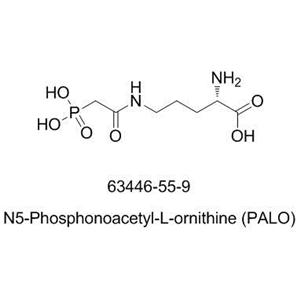 N5-Phosphonoacetyl-L-ornithine (PALO)