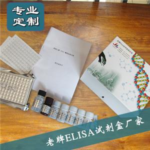 人基质金属蛋白酶2(MMP-2)ELISA试剂盒
