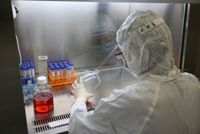 FHC贴壁传代培养细胞系价格 产地:上海市