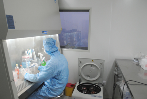 兔肝鳞癌肿瘤复苏细胞系价格 产地:上海市