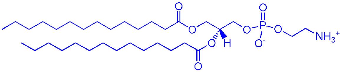 dmpe(1,2-二肉豆蔻酰-sn-甘油-3-磷酰乙醇胺),1,2-dimyristoyl-sn