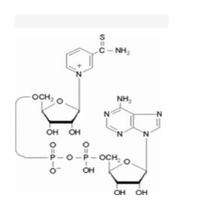 硫代氧化型辅酶I