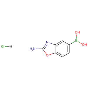 (2-氨基-1,3-苯并恶唑-5-基)硼酸盐酸盐