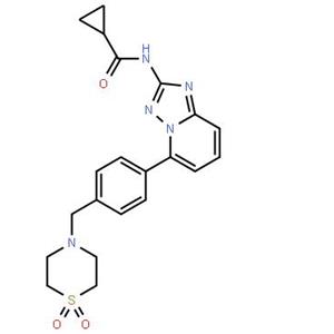 N-[5-[4-[(1,1-二氧代-4-硫代吗啉基)甲基]苯基][1,2,4]三唑并[1,5-A]吡啶-2-基]环丙烷甲酰胺 产品图片