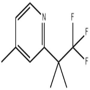 4-甲基-2-(1,1,1-三氟-2-二甲基-2-乙基)吡啶