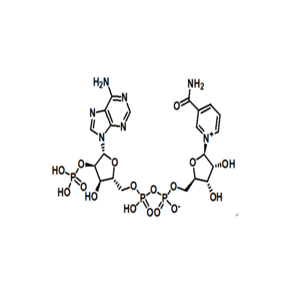 烟酰胺腺嘌呤双核苷酸磷酸盐 产品图片