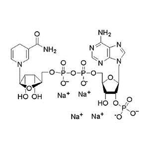还原型辅酶Ⅱ 产品图片