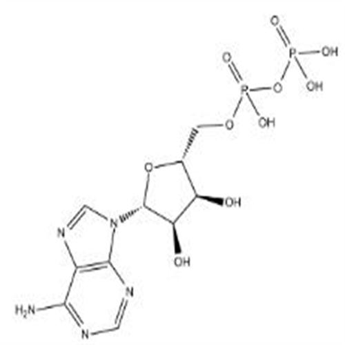 Adenosine-5'-diphosphate.jpg