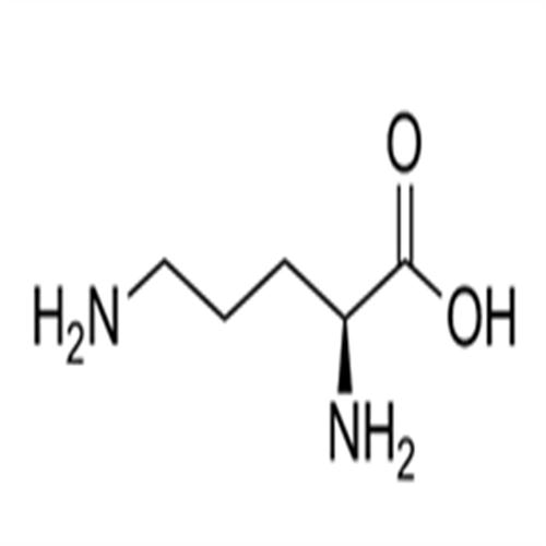 L-Ornithine ((S)-2,5-Diaminopentanoic acid).png