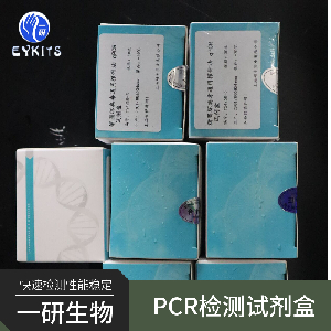 肠出血性大肠杆菌血清型PCR检测试剂盒