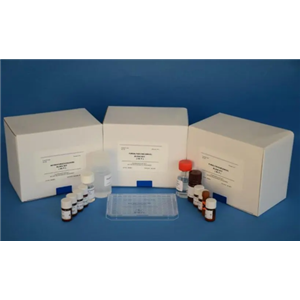 人N端中段骨钙素(N-MID-OT)Elisa试剂盒