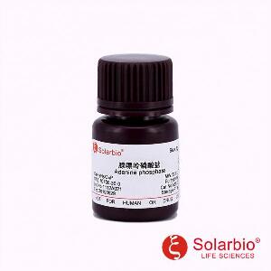  腺嘌呤磷酸盐,70700-30-0