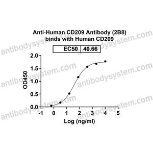 流式抗体：Human CD209 Antibody (2B8) FHJ61610