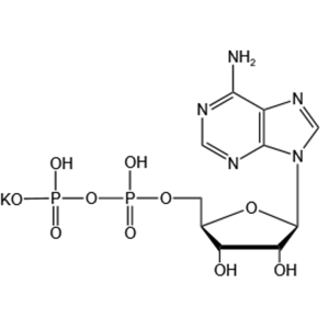 二磷酸腺苷一钾 产品图片