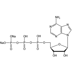 三磷酸腺苷二钠 987-65-5 产品图片