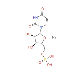 5′-尿苷酸二钠  UMP  3387-36-8