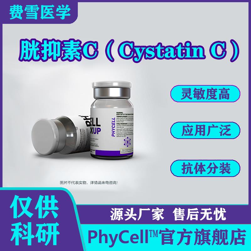 胱抑素C（Cystatin C，CysC）.jpg