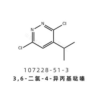 3,6-二氯-4-异丙基哒嗪107228-51-3 瑞司美替罗中间体
