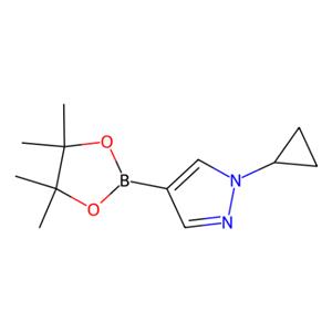 aladdin 阿拉丁 C166135 1-环丙基吡唑-4-硼酸频哪醇酯 1151802-22-0 95%