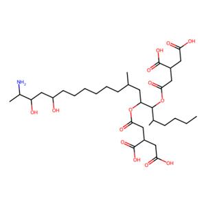 aladdin 阿拉丁 F139526 伏马菌素 B2 116355-84-1 ≥98%(HPLC)
