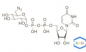 UDP-6-azido-6-deoxy-D-glucose,UDP-6-azido-6-deoxy-D-glucose