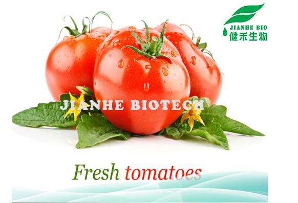 番茄红素 产品图片
